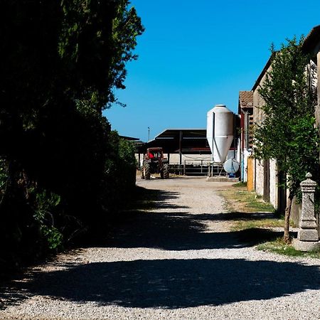 Dimora Iannelli - B&B Rurale Paestum Exteriér fotografie