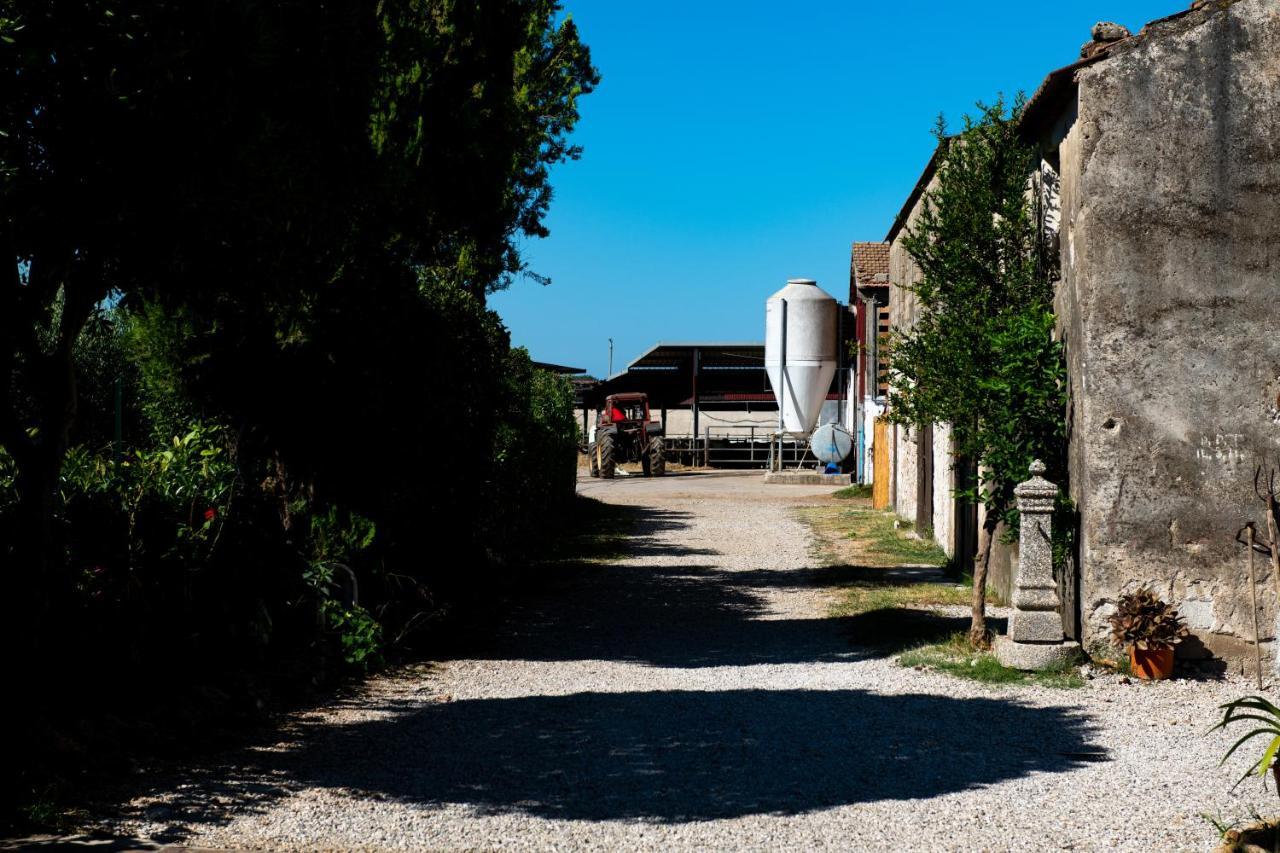 Dimora Iannelli - B&B Rurale Paestum Exteriér fotografie